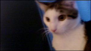 Murik-webcam.webp