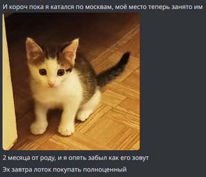 Murik-first.webp