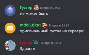 34.webp